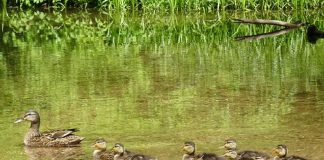 Comment et à qui faites-vous confiance ?