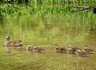 Comment et à qui faites-vous confiance ?