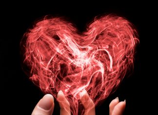 Le Créateur – Créer avec Amour