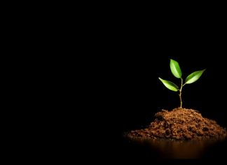 Le Créateur – Accordez l’espace nécessaire