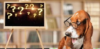 Être ou ne pas Être, voilà la Question