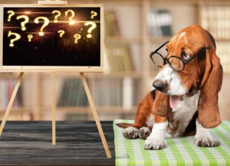 Être ou ne pas Être, voilà la Question