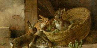 C’EST VOUS QUI CHOISISSEZ