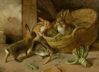 C’EST VOUS QUI CHOISISSEZ