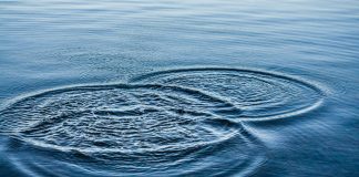 Le Créateur – Mouvement