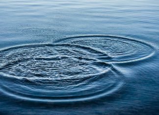 Le Créateur – Mouvement