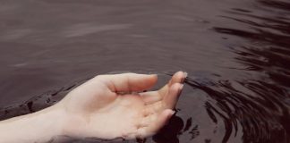 Le Créateur – Temps d’arrêt