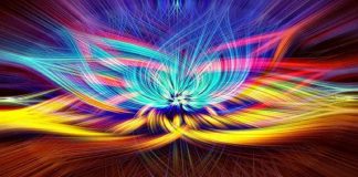 Vous êtes, les uns et les autres, cellules individuelles d’un gigantesque corps de conscience