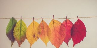 POURQUOI CHOISIR LA DIVERSIFICATION ?