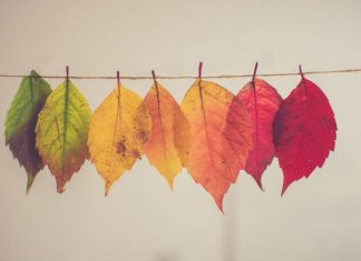 POURQUOI CHOISIR LA DIVERSIFICATION ?