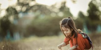 Le Créateur – Vous Revisiter