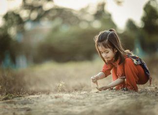 Le Créateur – Vous Revisiter