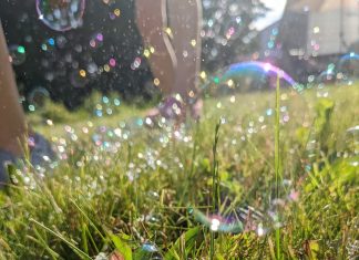 L’illusion que vous vouliez voir