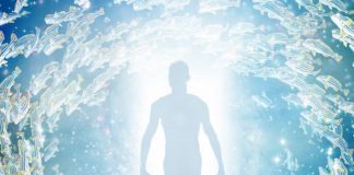 Le Créateur – Une Joyeuse Libération