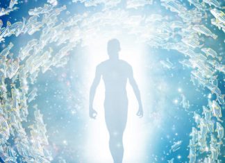 Le Créateur – Une Joyeuse Libération