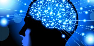 Le Créateur – Création Miraculeuse