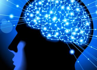 Le Créateur – Création Miraculeuse