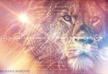 Le Portail 8/8 du Lion, l’Année Sacrée et les 8 Points de Lumière