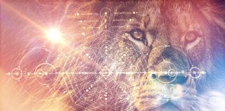 Le Portail 8/8 du Lion, l’Année Sacrée et les 8 Points de Lumière