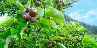 Votre éternelle expansion