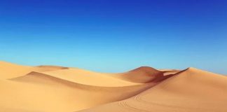 Rien ne sera épargné, tout doit être purifié, mis à nu