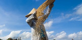 Le Créateur – Que choisissez-vous ?