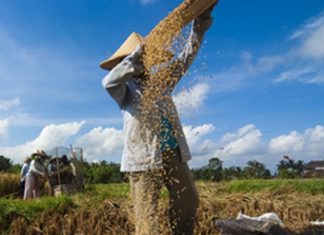 Le Créateur – Que choisissez-vous ?