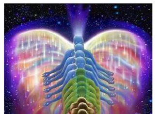 La 5ème Dimension de Conscience est à l’Intérieur de Vous