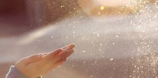 Le Créateur – Embrasser ou Libérer