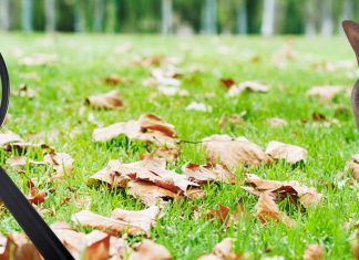 Quelles sont les prochaines étapes de votre expansion ?