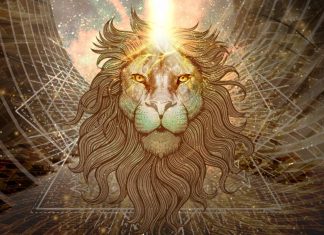 Découvrez le Portail de la Porte des Lions