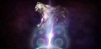 Transmission en Direct de la Porte des Lions 2022