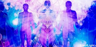 Le Conseil : Fréquence d’Abondance