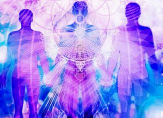 Le Conseil : Fréquence d’Abondance