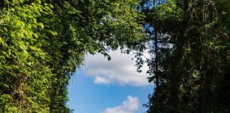 Ne l’appelez plus Mort mais Libération