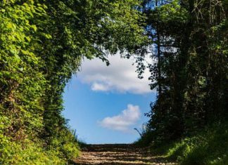 Ne l’appelez plus Mort mais Libération