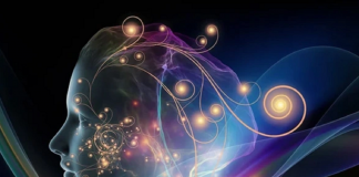 Le Créateur – Sans Frontières