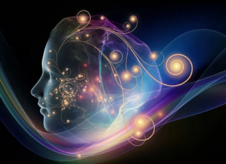 Le Créateur – Sans Frontières