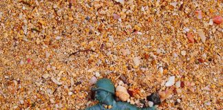 Mourir pour une « bonne cause » ?