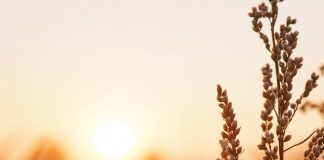 Le Créateur – Vivre Chaque Moment