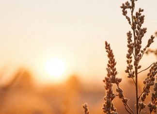 Le Créateur – Vivre Chaque Moment