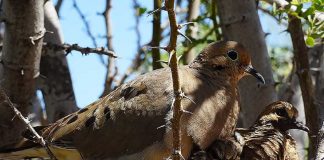 Se Reconnecter à l’Enfant Divin