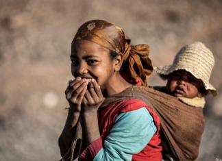 Le Créateur – L’Expérience Humaine