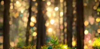 Tu es le Gardien de ton Pouvoir, de ta Lumière