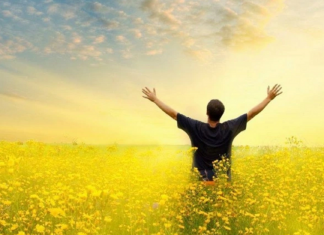 Le Créateur – Que l’Amour Soit