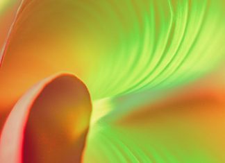 Quelle est la raison de cet effondrement vibratoire ?