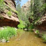 riviere – guidance naturelle