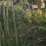 toile-d&rsquo;araigné