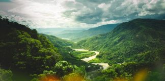 Elior : La cinquième dimension est celle de votre génie