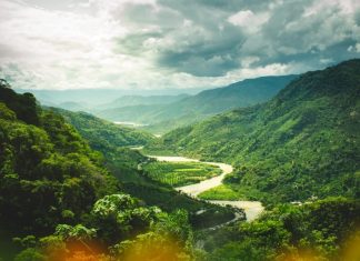 Elior : La cinquième dimension est celle de votre génie